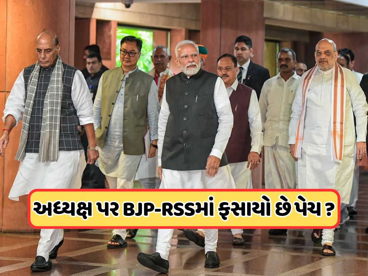 ભાજપને ક્યારે મળશે નવા રાષ્ટ્રીય અધ્યક્ષ ? રાજનાથ સિંહે કર્યો ખુલાસો, જાણો ભાજપને ક્યારે મળશે નવા રાષ્ટ્રીય અધ્યક્ષ ? રાજનાથ સિંહે કર્યો ખુલાસો, જાણો