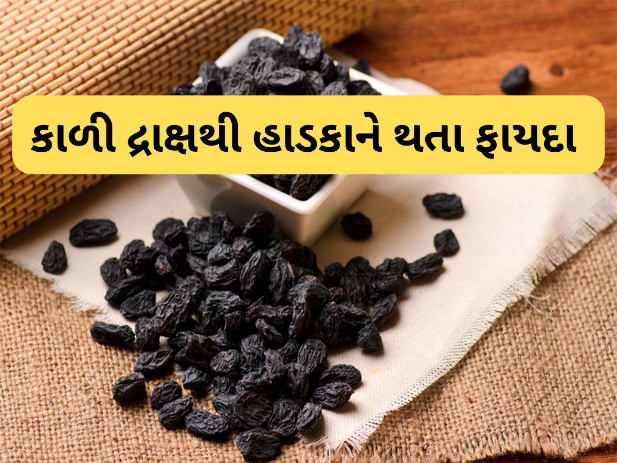 Black Raisins: હાડકાને લોખંડ જેવા મજબૂત બનાવે છે આ કાળા દાણા, જાણો કેવી રીતે ખાવા
