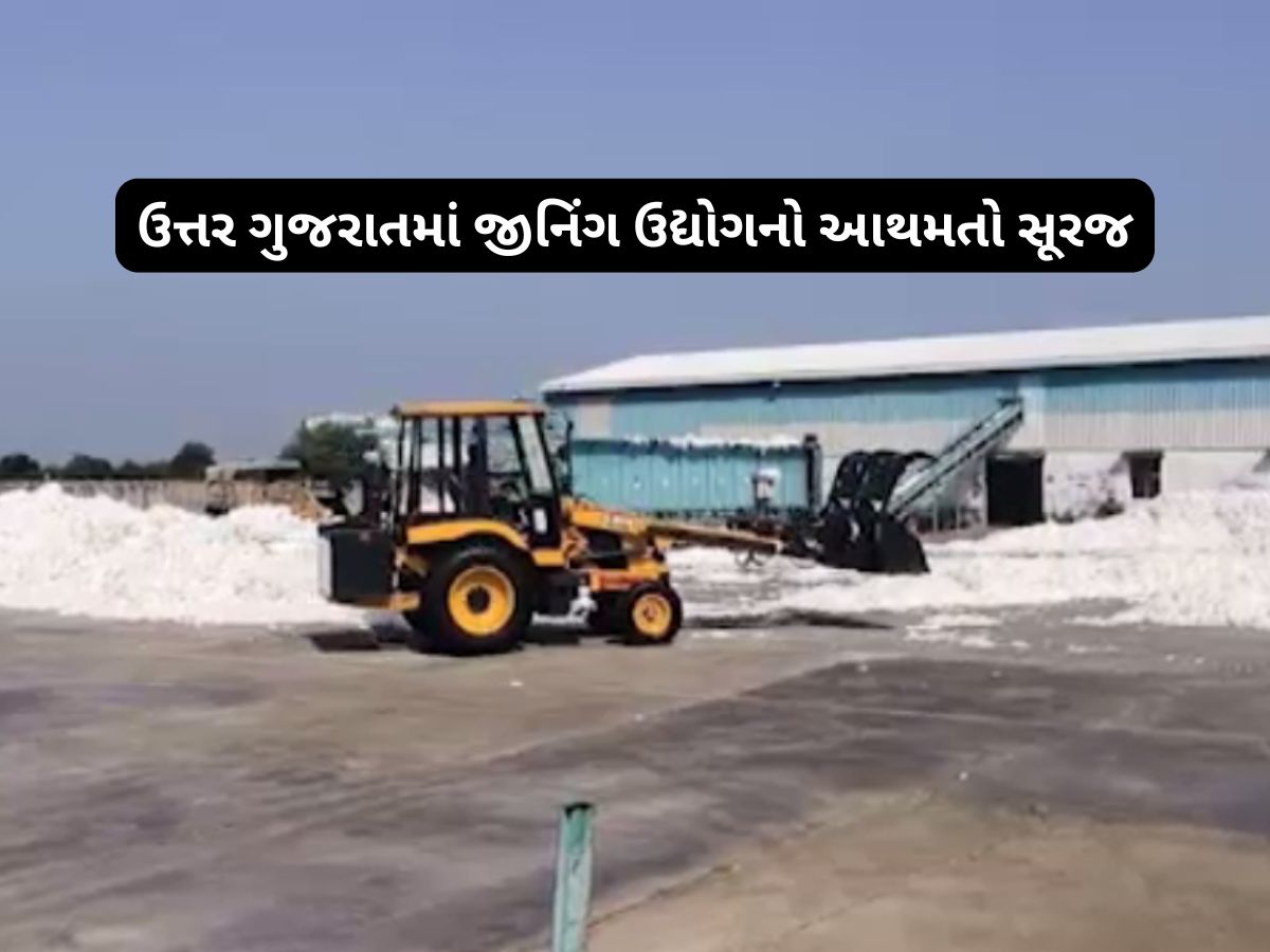 મરણ પથારીએ પડ્યો ગુજરાતનો વધુ એક ઉદ્યોગ, 55 કારખાનાને તાળા લાગ્યા