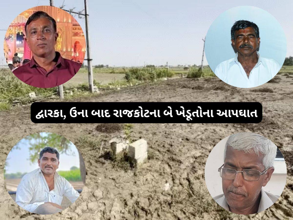 જગતનો તાત હાર્યો! સૌરાષ્ટ્રમાં એક અઠવાડિયામાં ચાર ખેડૂતોએ જિંદગી ટૂંકાવી લીધી