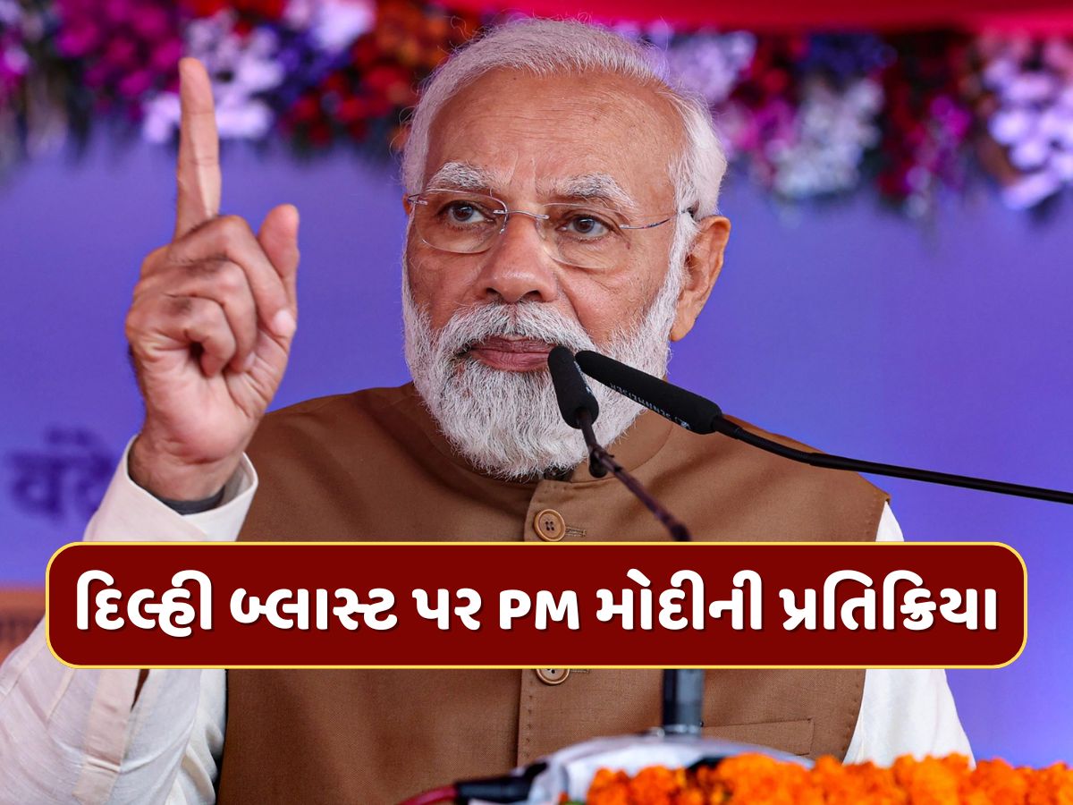 દિલ્હી બ્લાસ્ટ બાદ PM મોદીની પહેલી પ્રતિક્રિયા, જાણો શું કહ્યું