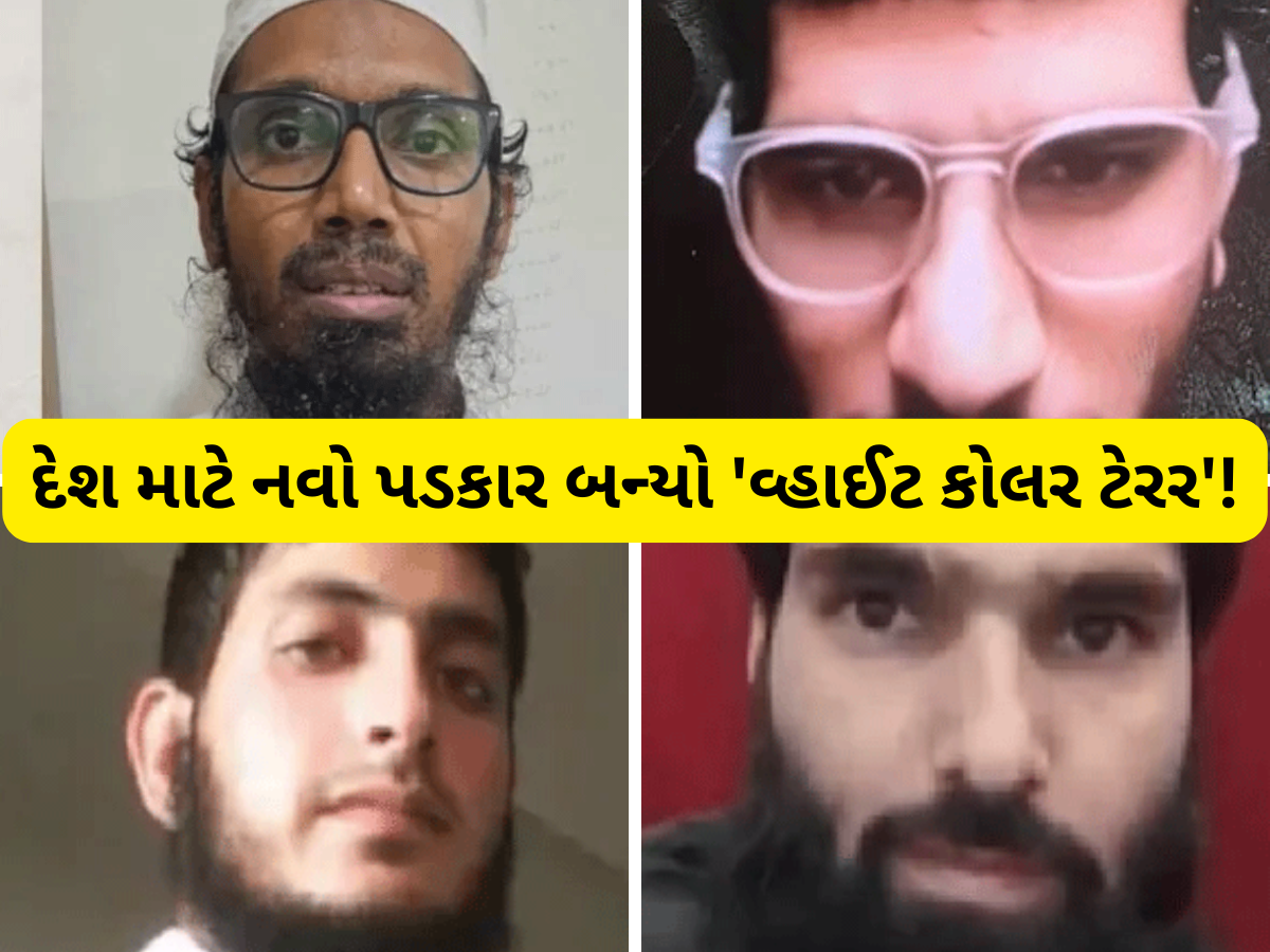 Delhi Blast: વધુ એક ડોક્ટરનું આતંકી કનેક્શન, દિલ્હી ધડાકા સાથે 4 ડોક્ટરોનું શું કનેક્શન? આ હોસ્પિટલ સાથે જોડાયેલા છે બધા Delhi Blast: વધુ એક ડોક્ટરનું આતંકી કનેક્શન, દિલ્હી ધડાકા સાથે 4 ડોક્ટરોનું શું કનેક્શન? આ હોસ્પિટલ સાથે જોડાયેલા છે બધા