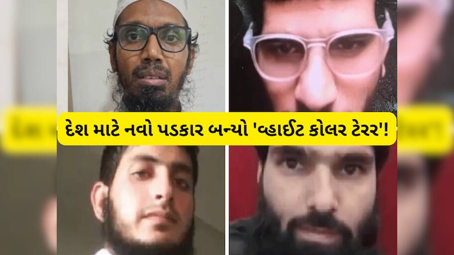 Delhi Blast: વધુ એક ડોક્ટરનું આતંકી કનેક્શન, દિલ્હી ધડાકા સાથે 4 ડોક્ટરોનું શું કનેક્શન? આ હોસ્પિટલ સાથે જોડાયેલા છે બધા