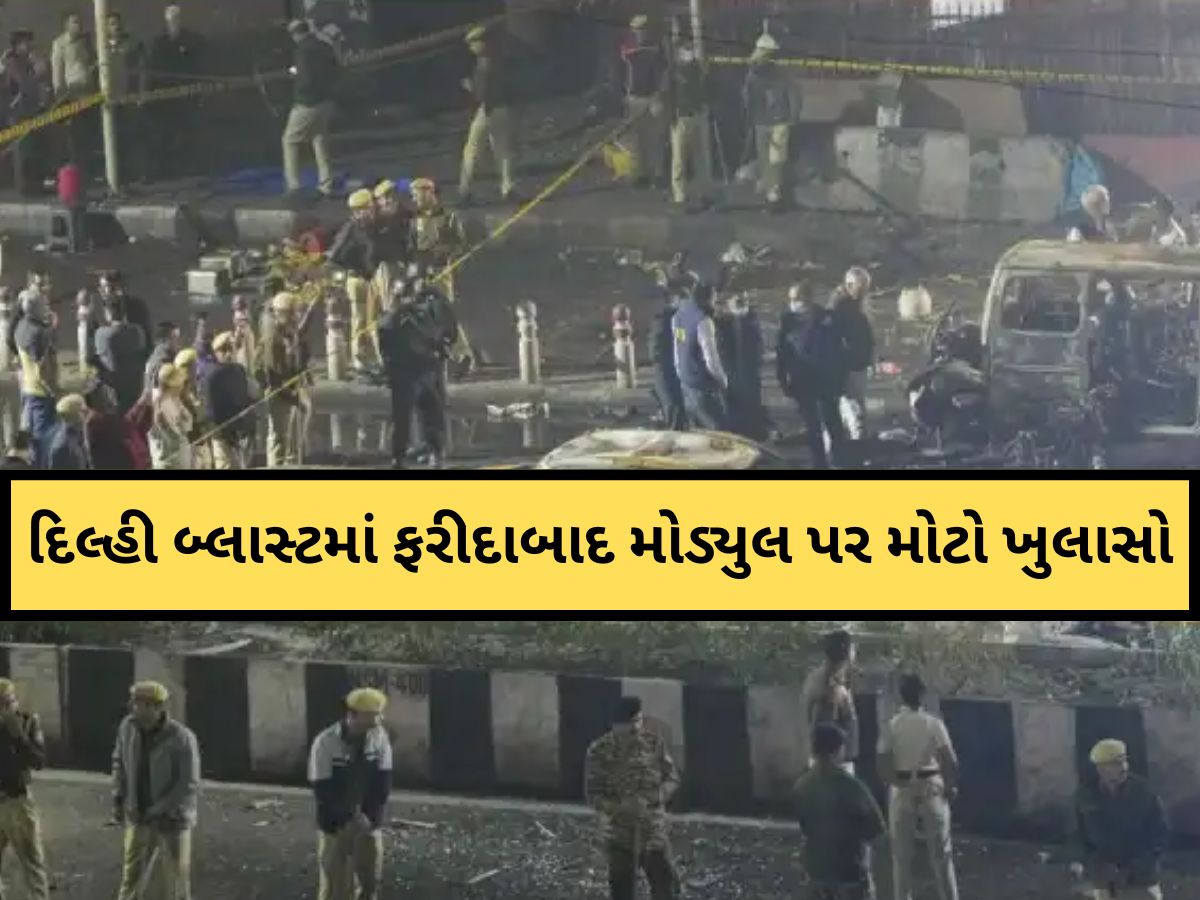 Delhi Car Blast: અધૂરો પ્લાન છોડી આતંકી ઉમરે કર્યો સુસાઇડ એટેક! દિલ્હી બ્લાસ્ટમાં ફરીદાબાદ મોડ્યુલ પર મોટો ખુલાસો Delhi Car Blast: અધૂરો પ્લાન છોડી આતંકી ઉમરે કર્યો સુસાઇડ એટેક! દિલ્હી બ્લાસ્ટમાં ફરીદાબાદ મોડ્યુલ પર મોટો ખુલાસો
