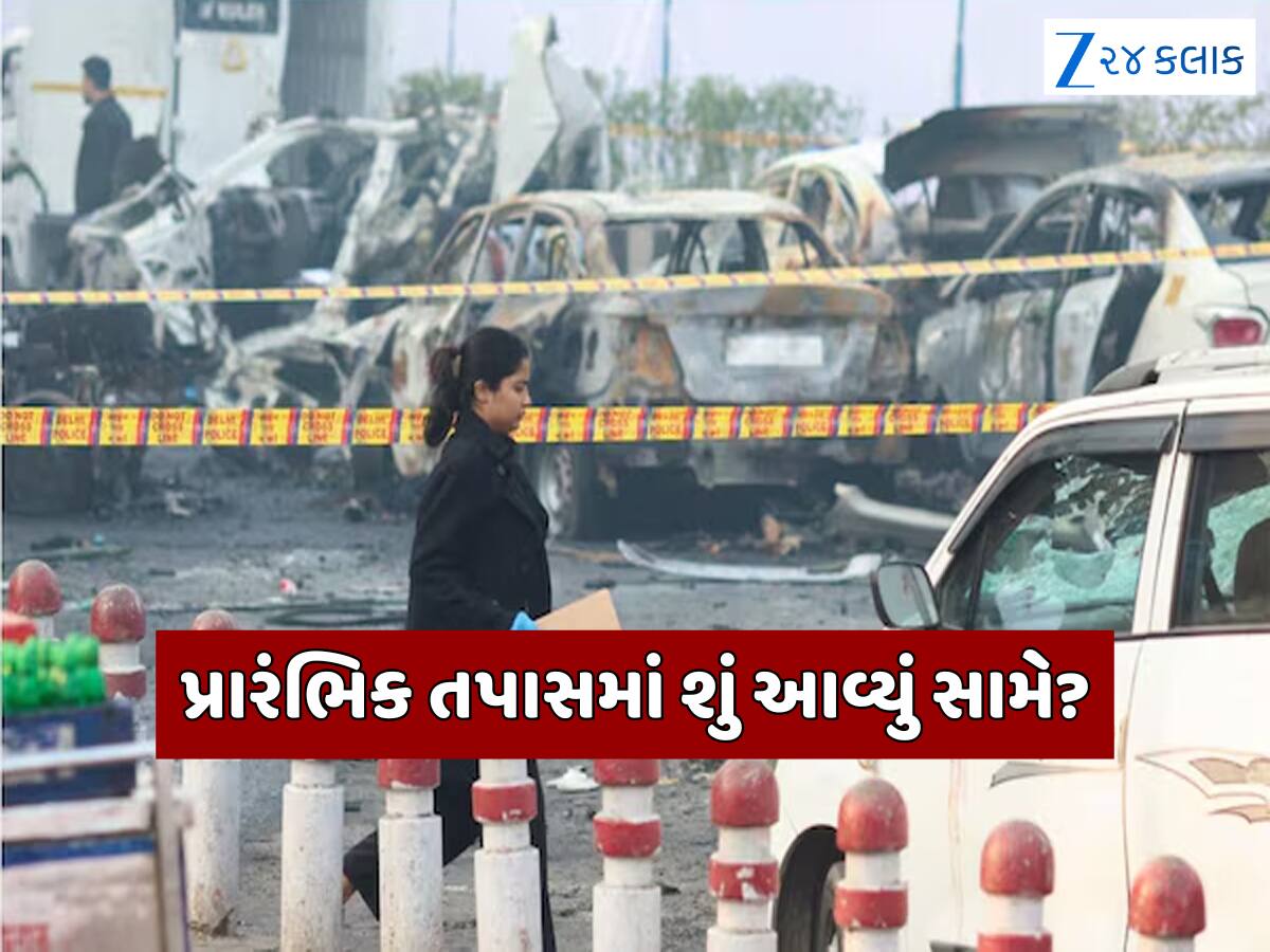 આત્મઘાતી હુમલો નહીં, આતંકવાદીએ ગભરામણમાં કર્યો બ્લાસ્ટ! દિલ્હી બ્લાસ્ટની પ્રારંભિક તપાસમાં શું આવ્યું સામે