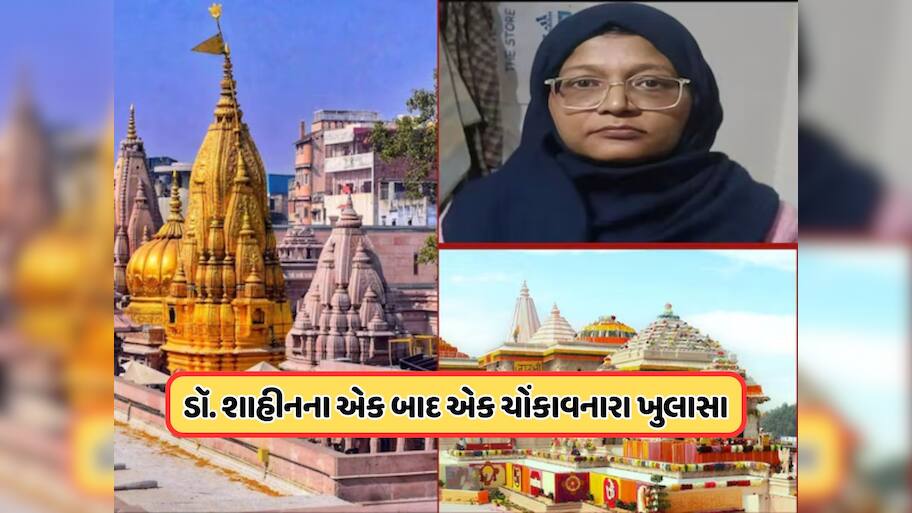 દિલ્હી જ નહીં, રામ મંદિર અને કાશી વિશ્વનાથ મંદિર પણ હતું નિશાને, સ્લીપર સેલ હતો સક્રિય, આતંકવાદી શાહીનનો ખુલાસો