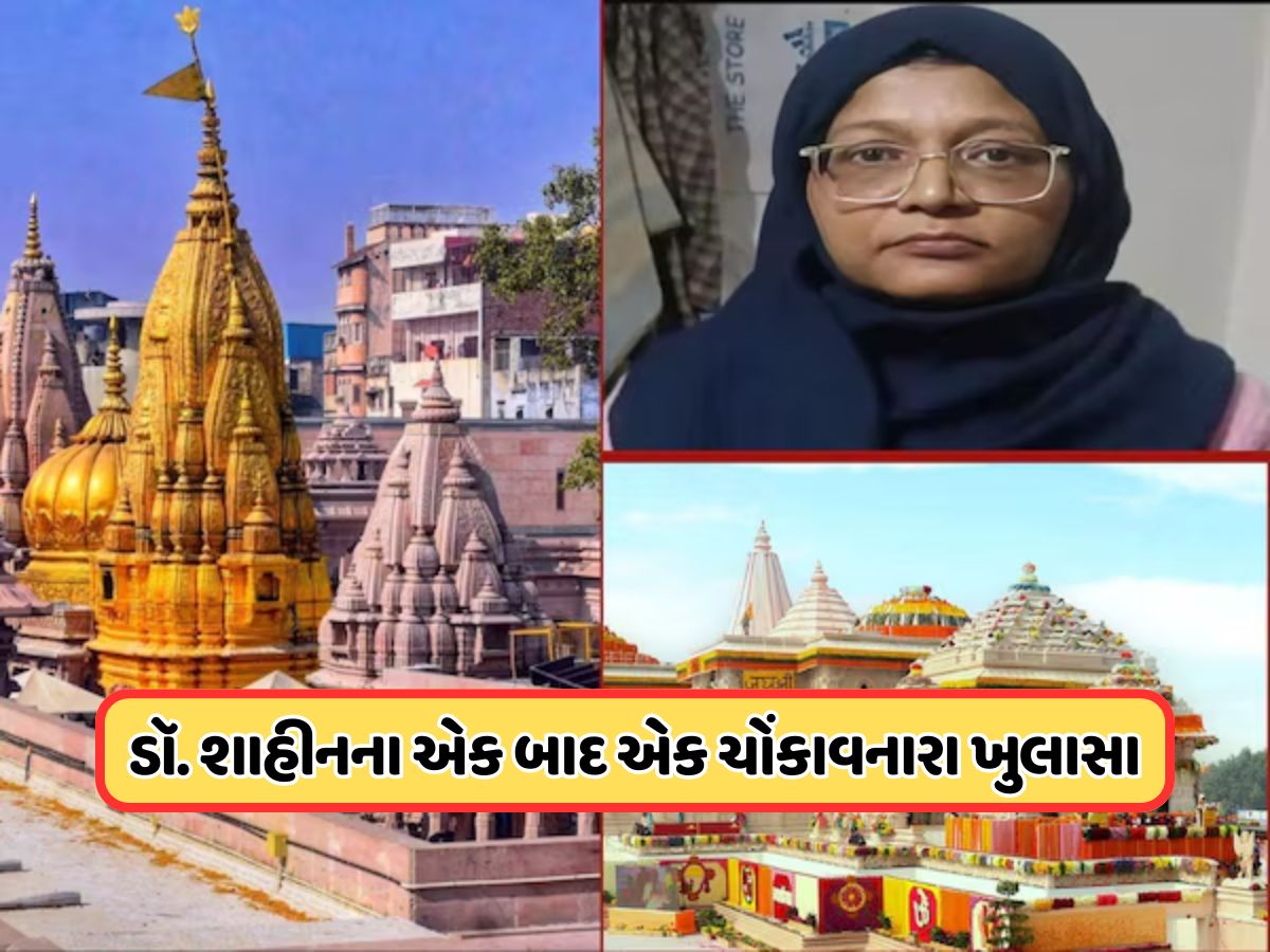 દિલ્હી જ નહીં, રામ મંદિર અને કાશી વિશ્વનાથ મંદિર પણ હતું નિશાને, સ્લીપર સેલ હતો સક્રિય, આતંકવાદી શાહીનનો ખુલાસો દિલ્હી જ નહીં, રામ મંદિર અને કાશી વિશ્વનાથ મંદિર પણ હતું નિશાને, સ્લીપર સેલ હતો સક્રિય, આતંકવાદી શાહીનનો ખુલાસો