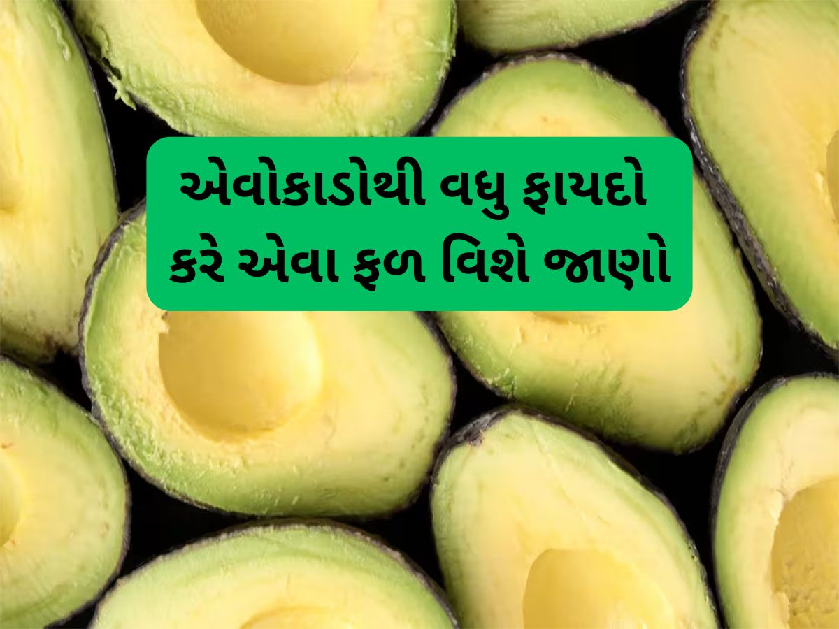 Winter Superfood: એવોકાડો કરતાં પણ વધારે ફાયદાકારક છે આ નાનકડું ફળ, રોજ 1 ખાવાથી પણ રહેશો નિરોગી Winter Superfood: એવોકાડો કરતાં પણ વધારે ફાયદાકારક છે આ નાનકડું ફળ, રોજ 1 ખાવાથી પણ રહેશો નિરોગી
