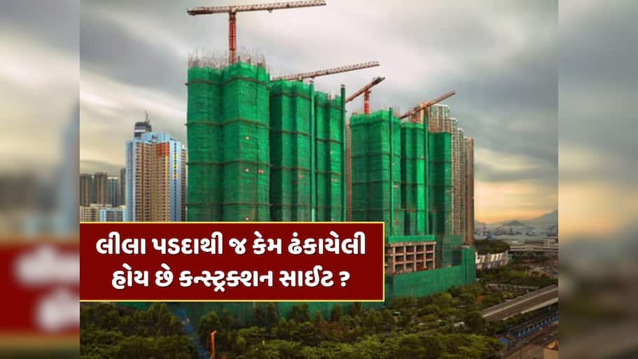 લીલા પડદાથી જ કેમ ઢંકાયેલી હોય છે કન્સ્ટ્રક્શન સાઈટ ? જાણો શું છે કારણ 