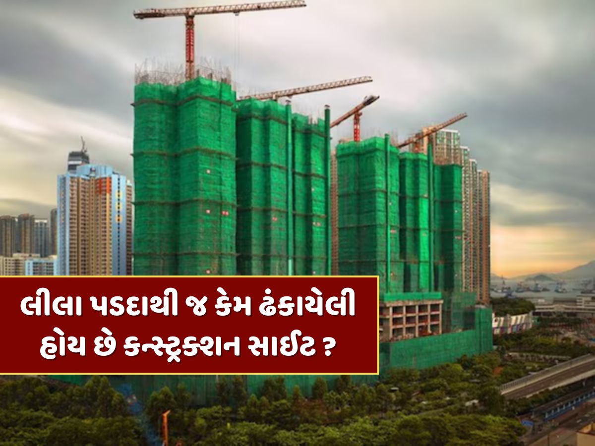 લીલા પડદાથી જ કેમ ઢંકાયેલી હોય છે કન્સ્ટ્રક્શન સાઈટ ? જાણો શું છે કારણ