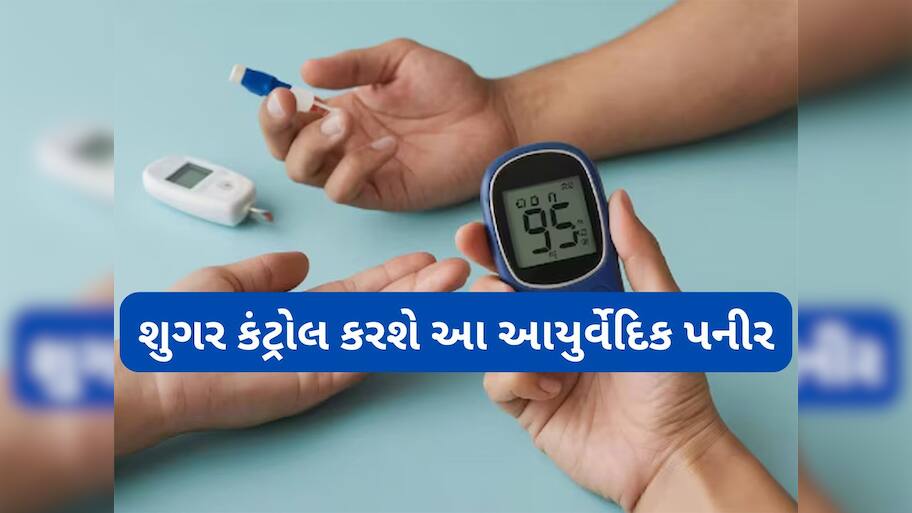 Diabetes: ડાયાબિટીસના દર્દીએ ખાવું આ આયુર્વેદિક પનીર, ખાવાથી કંટ્રોલ થઈ જાય છે બ્લડ શુગર લેવલ