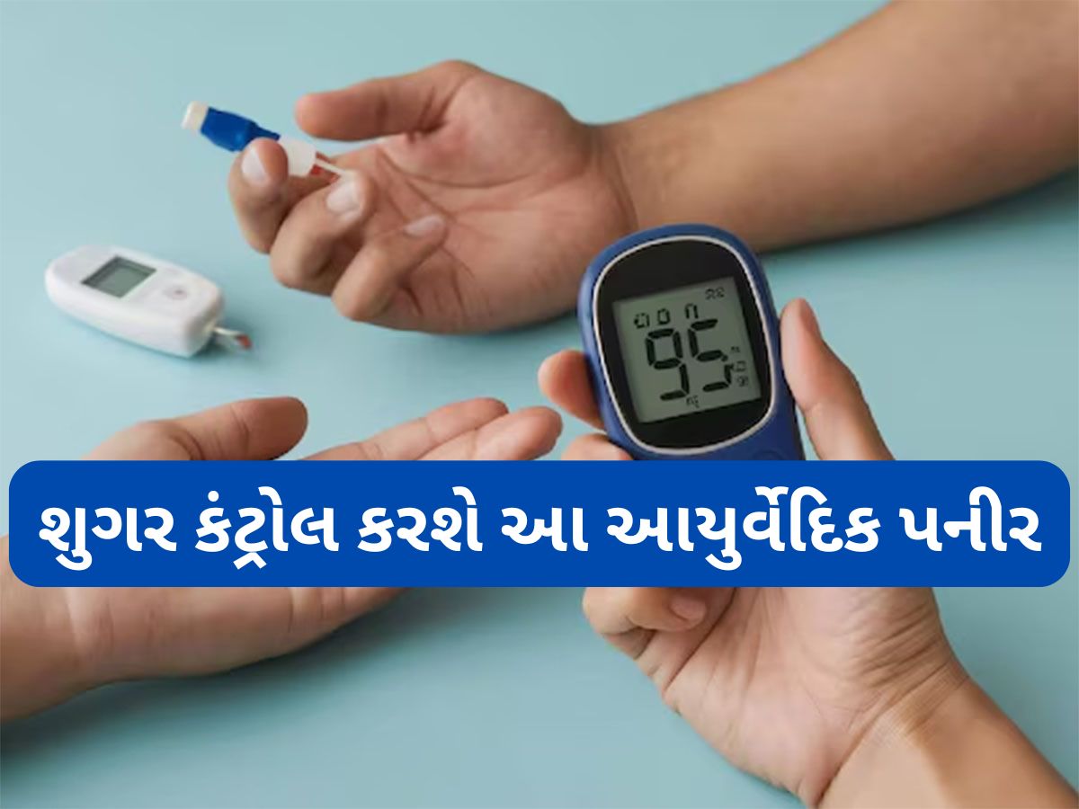 Diabetes: ડાયાબિટીસના દર્દીએ ખાવું આ આયુર્વેદિક પનીર, ખાવાથી કંટ્રોલ થઈ જાય છે બ્લડ શુગર લેવલ Diabetes: ડાયાબિટીસના દર્દીએ ખાવું આ આયુર્વેદિક પનીર, ખાવાથી કંટ્રોલ થઈ જાય છે બ્લડ શુગર લેવલ