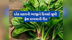 દિવસો પછી વાપરશો તો પણ ફ્રેશ હશે લીલી ભાજી, સાફ કરીને આ રીતે ફ્રીજમાં સ્ટોર કરજો