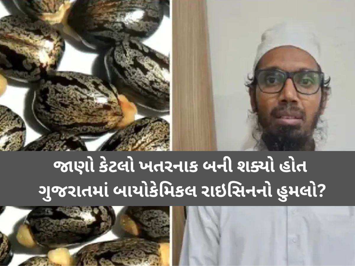 ગુજરાતમાં આતંકી કાવતરાનો પર્દાફાશ: બાયોકેમિકલ રાઇસિનનો હુમલો થયો હોત તો કેટલો ઘાતક હોત?