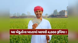 આ ખેડૂતોના ખાતામાં 2000ના બદલે આવશે 4,000 રૂપિયા! ક્યારે આવશે PM કિસાનનો 21મો હપ્તો?