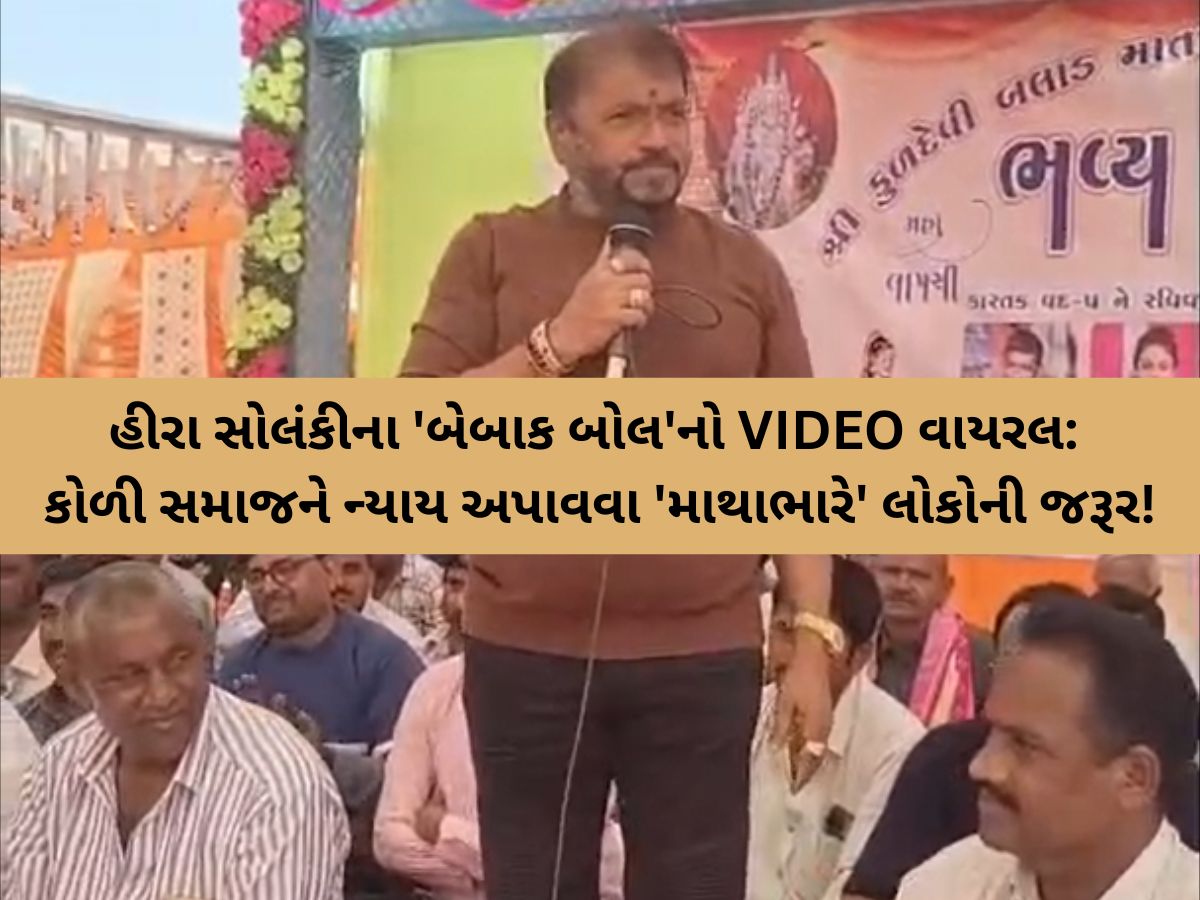 'અમારા જેવા માથાભારે લોકો પણ કોળી સમાજને જોઈશે', MLA હીરા સોલંકીના 'બેબાક બોલ'નો VIDEO વાયરલ 'અમારા જેવા માથાભારે લોકો પણ કોળી સમાજને જોઈશે', MLA હીરા સોલંકીના 'બેબાક બોલ'નો VIDEO વાયરલ