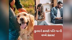 ડોગ લવર પત્નીની આદતોથી કંટાળી પતિએ ગુજરાત હાઈકોર્ટમાં છૂટાછેડા માટે કરી અરજી