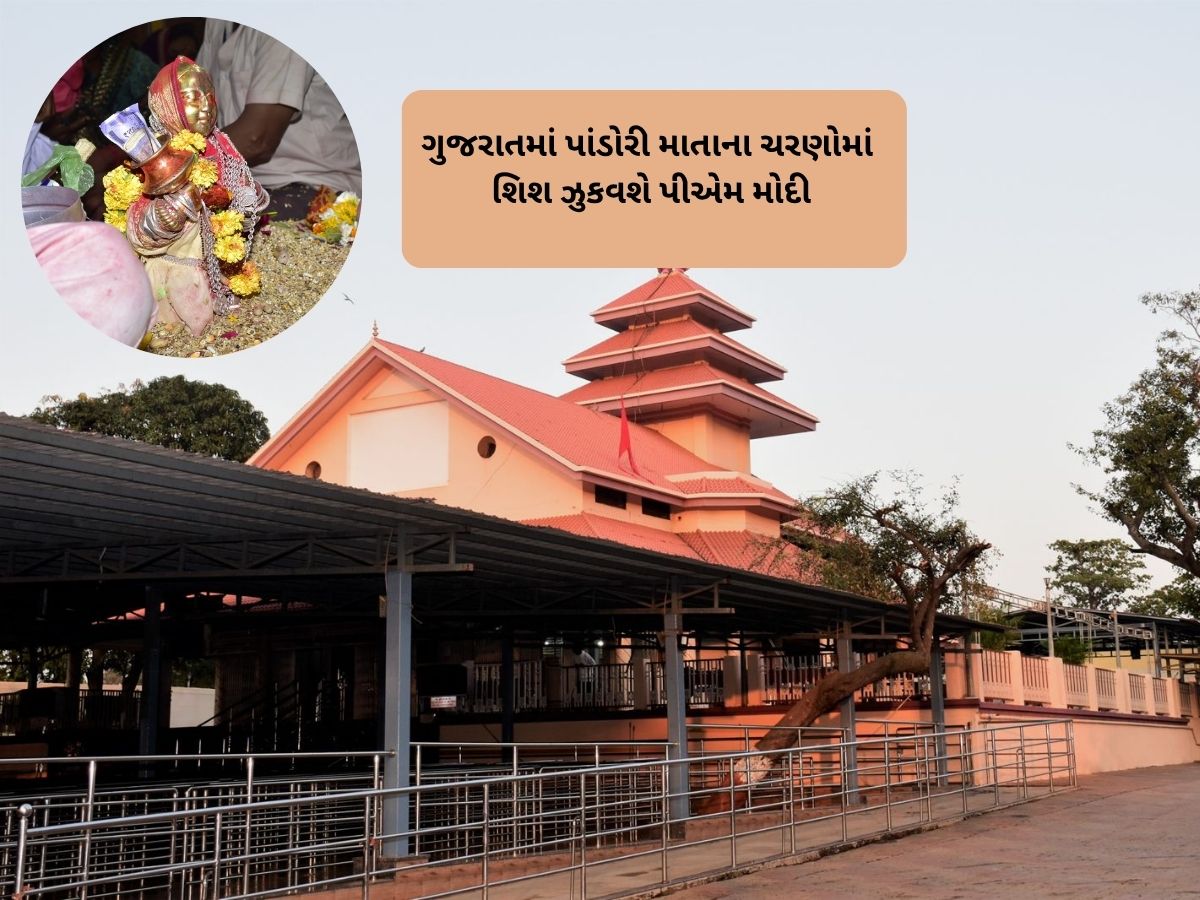 15 નવેમ્બરે પીએમ મોદી ગુજરાતના આ પ્રખ્યાત ધામની મુલાકાત કરશે, આદિવાસીઓનું પૂજનીય સ્થળ છે! 15 નવેમ્બરે પીએમ મોદી ગુજરાતના આ પ્રખ્યાત ધામની મુલાકાત કરશે, આદિવાસીઓનું પૂજનીય સ્થળ છે!