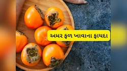 Persimmon Fruit: શિયાળામાં રોજ ખાવું જોઈએ 1 અમરફળ, જાણો આ ફળ ખાવાથી થતા ફાયદા