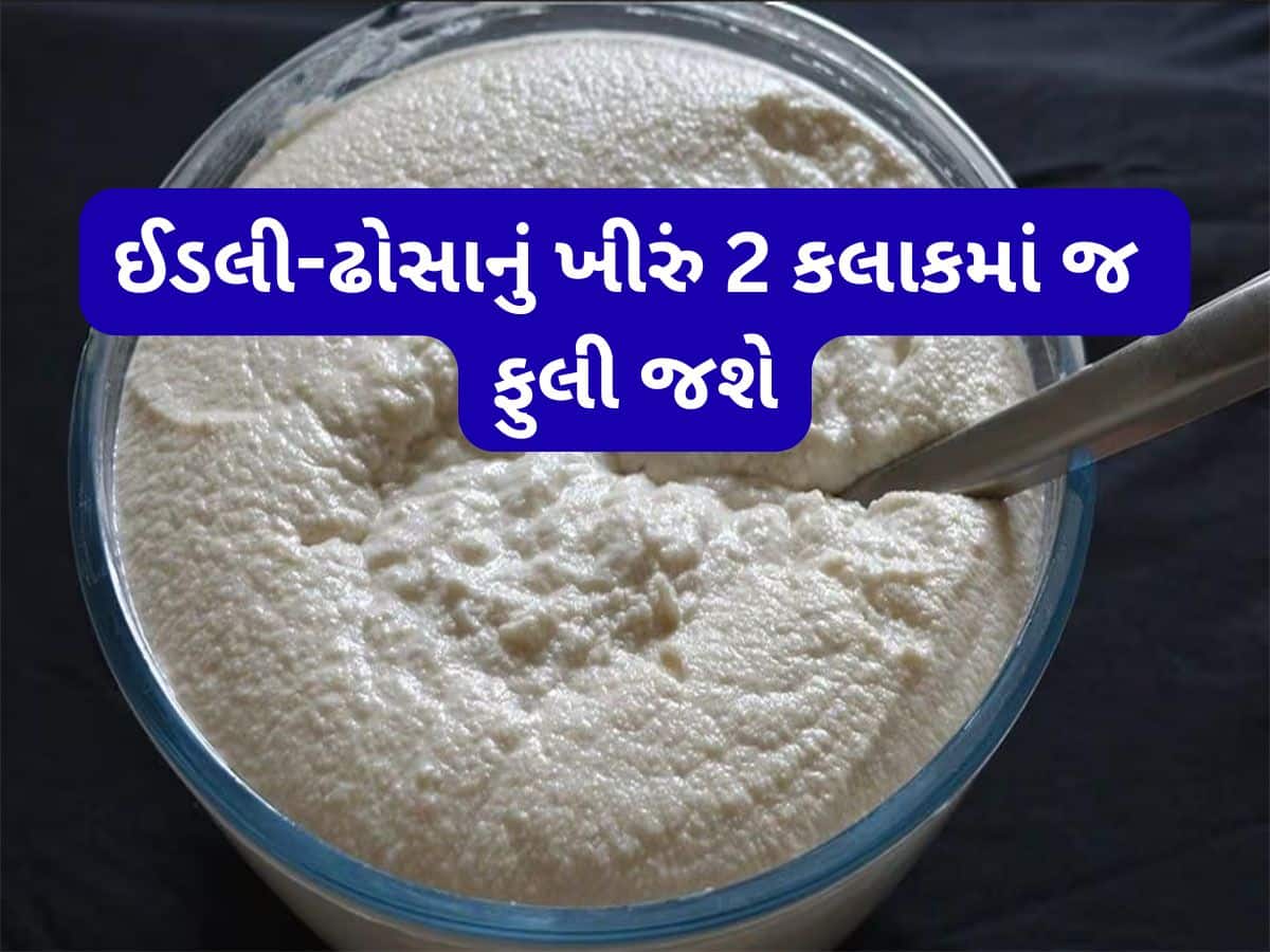 Kitchen Hacks: ઈડલી-ઢોસાના બેટરમાં ઠંડીમાં પણ આવશે સારો આથો, આ રીતે યુઝ કરજો નાગરવેલનું પાન