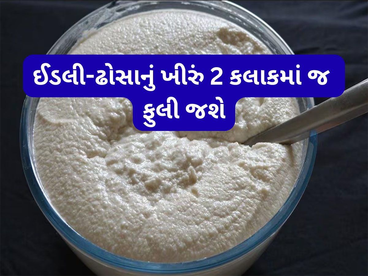 Kitchen Hacks: ઈડલી-ઢોસાના બેટરમાં ઠંડીમાં પણ આવશે સારો આથો, આ રીતે યુઝ કરજો નાગરવેલનું પાન