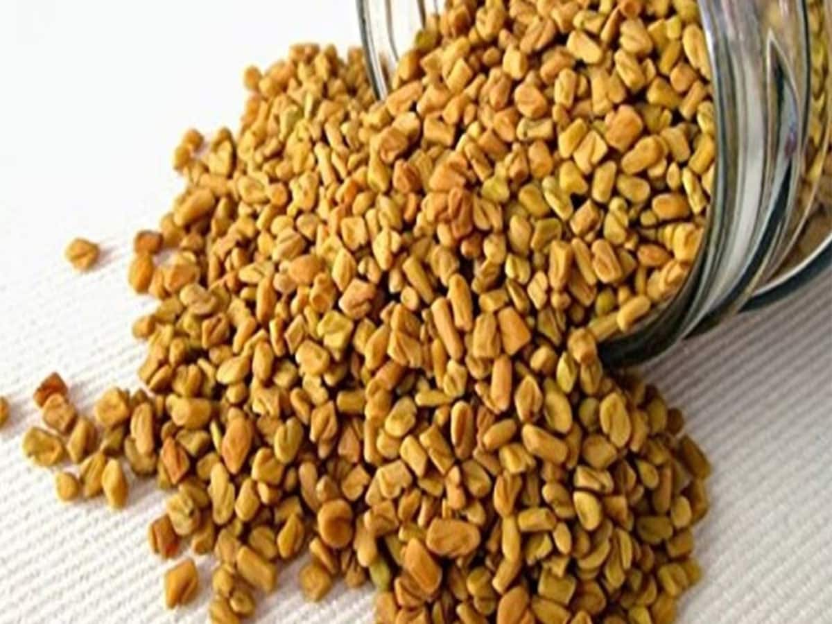 Fenugreek Benefits: 15 દિવસ સવારે ખાલી પેટ મેથી દાણા ખાવાથી શરીરમાં થતા પોઝિટિવ ફેરફાર