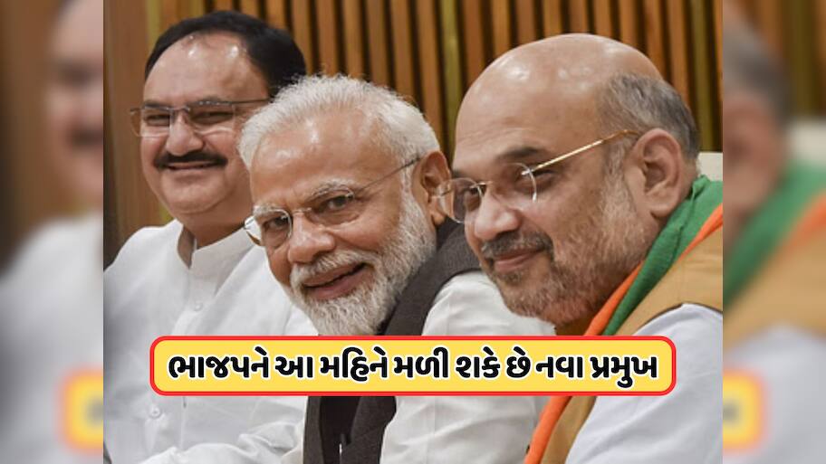 ભાજપના અધ્યક્ષ માટે આ નામ 99 ટકા ફાઇનલ, મોદી કેબિનેટમાં મોટા ફેરફારની શક્યતા