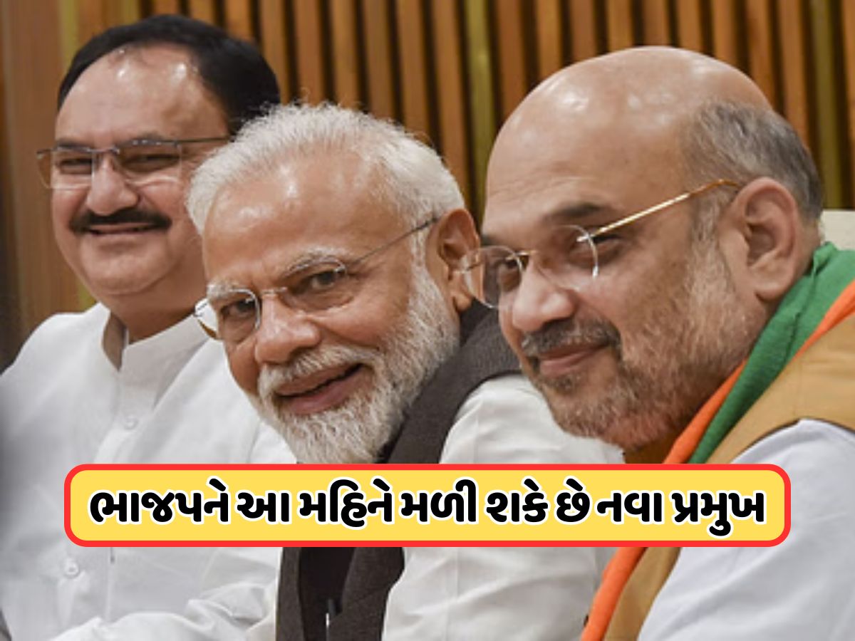ભાજપના અધ્યક્ષ માટે આ નામ 99 ટકા ફાઇનલ, મોદી કેબિનેટમાં મોટા ફેરફારની શક્યતા ભાજપના અધ્યક્ષ માટે આ નામ 99 ટકા ફાઇનલ, મોદી કેબિનેટમાં મોટા ફેરફારની શક્યતા