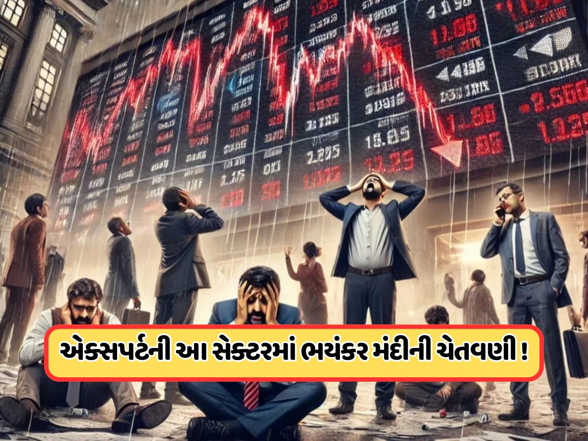 'નફામાં છુપાયેલું છે મોટું રિસ્ક...' 2008ની મંદીની ભવિષ્યવાણી કરનાર વ્યક્તિએ ફરી કર્યા એલર્ટ