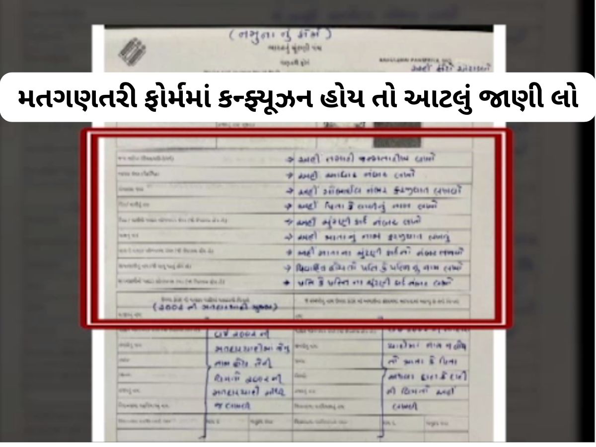 તમારા દરવાજે મતદાર યાદી સુધારવા BLO આવે તો આટલું ધ્યાન રાખીને સો ટકા કરાવી લેજો