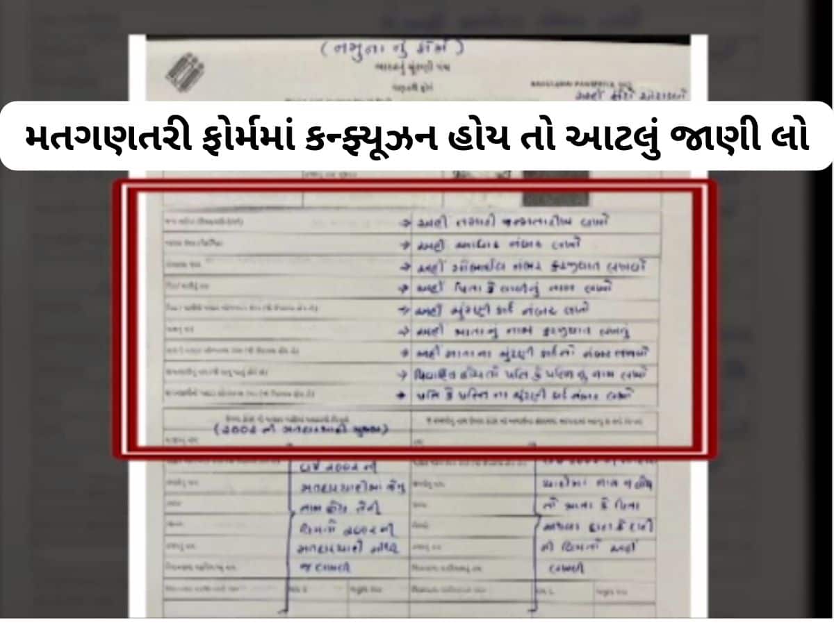 તમારા દરવાજે મતદાર યાદી સુધારવા BLO આવે તો આટલું ધ્યાન રાખીને સો ટકા કરાવી લેજો 
