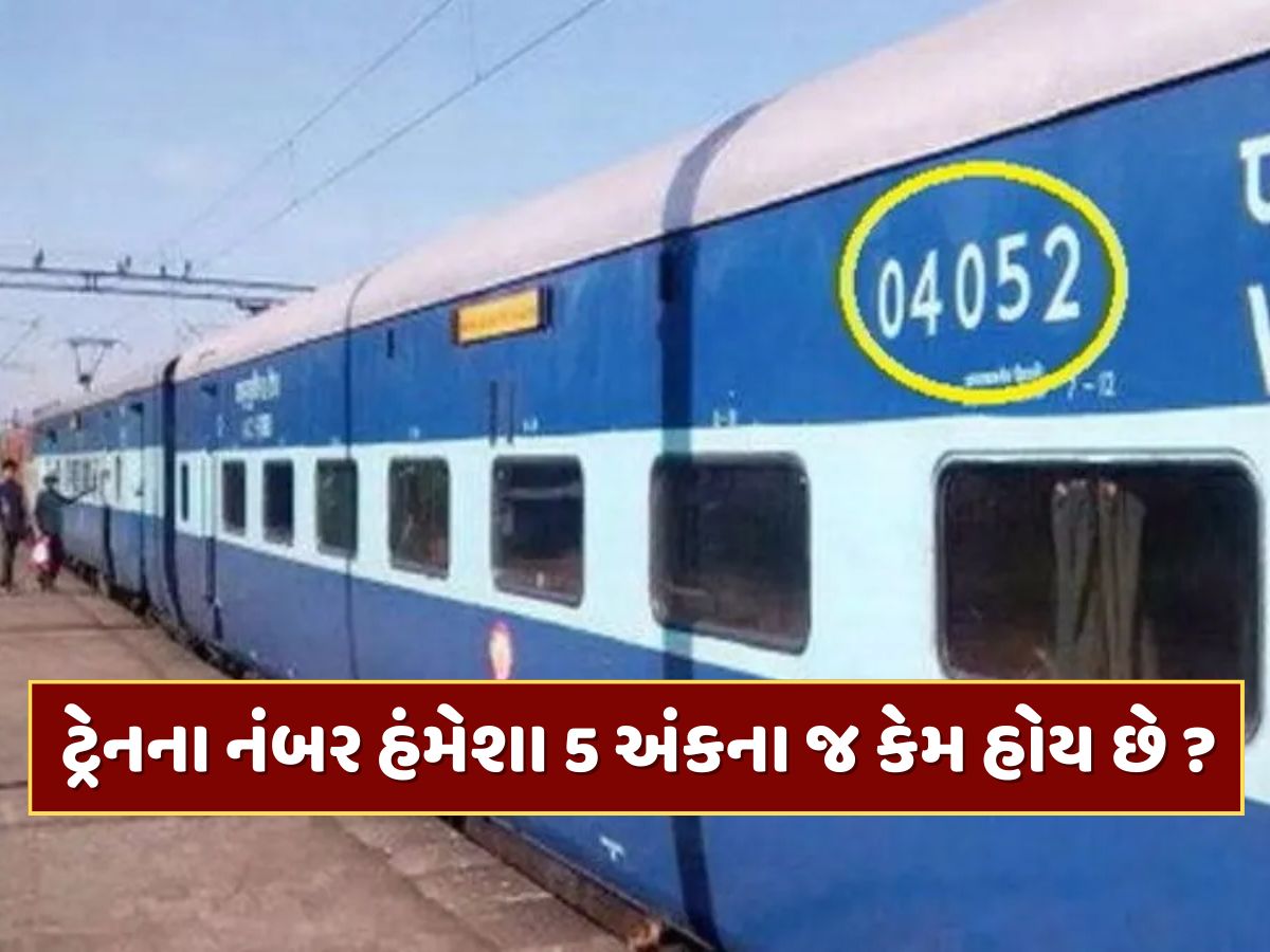 ભારતીય ટ્રેનના નંબર હંમેશા 5 અંકના જ કેમ હોય છે ? જાણો શું છે તેની પાછળનું રહસ્ય ભારતીય ટ્રેનના નંબર હંમેશા 5 અંકના જ કેમ હોય છે ? જાણો શું છે તેની પાછળનું રહસ્ય