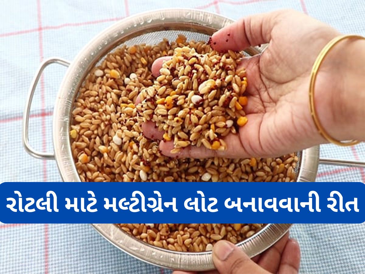 Multigrain Atta: ઘઉંમાં આટલા અનાજ મિક્સ કરી ઘરે બનાવો હેલ્ધી મલ્ટીગ્રેન આટા, આ લોટની 2 રોટલીથી પણ પેટ કલાકો સુધી ભરેલું રહેશે