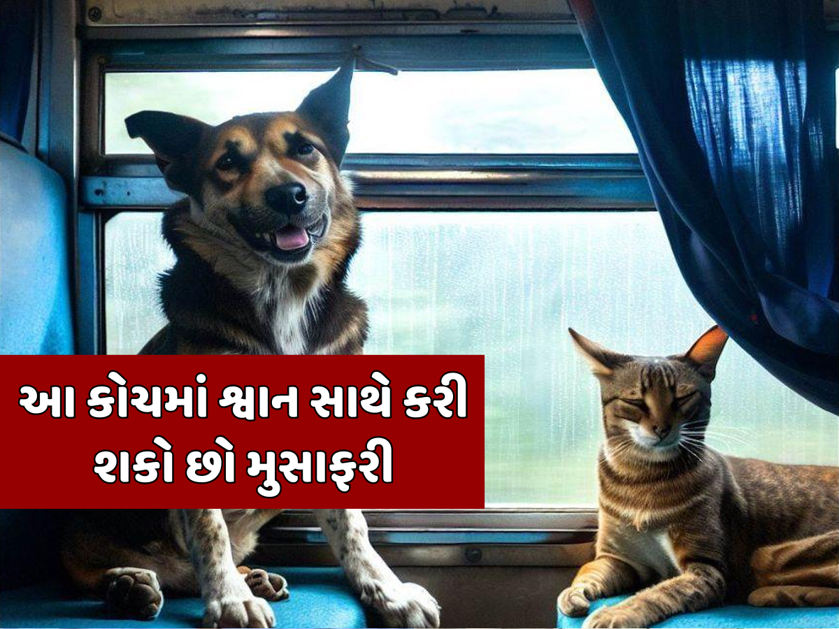 Indian Railways Pet Rules: શું ટ્રેનમાં શ્વાનને લઈ જઈ શકાય છે? જાણો શું છે ભારતીય રેલવેના નિયમો Indian Railways Pet Rules: શું ટ્રેનમાં શ્વાનને લઈ જઈ શકાય છે? જાણો શું છે ભારતીય રેલવેના નિયમો