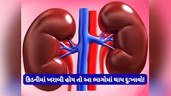 જો શરીરના આ 3 ભાગમાં દુ:ખાવો થાય તો સમજી જજો, તમારી કિડનીમાં આવી છે ખરાબી