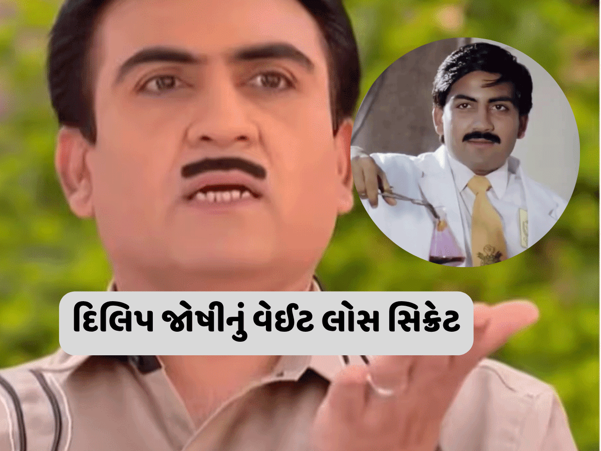 તારક મહેતા...ના જેઠાલાલે 45 દિવસમાં 16 કિલો વજન કેવી રીતે ઉતાર્યું? જાણો કેવી રીતે બન્યા ફેટથી ફિટ તારક મહેતા...ના જેઠાલાલે 45 દિવસમાં 16 કિલો વજન કેવી રીતે ઉતાર્યું? જાણો કેવી રીતે બન્યા ફેટથી ફિટ