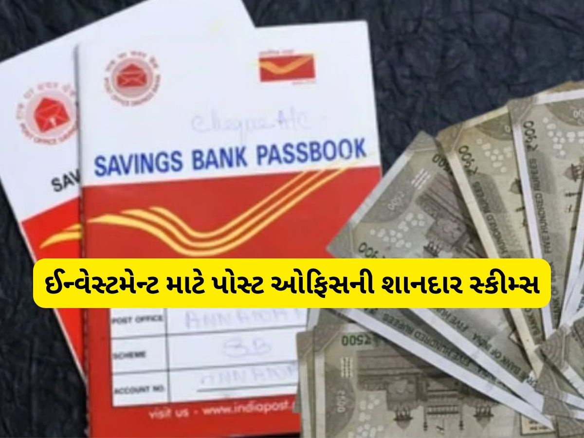 બેંક FD પણ ફેલ, પોસ્ટ ઓફિસની આ સ્કીમ આપી રહી છે 8.20% સુધીનું શાનદાર વ્યાજ બેંક FD પણ ફેલ, પોસ્ટ ઓફિસની આ સ્કીમ આપી રહી છે 8.20% સુધીનું શાનદાર વ્યાજ