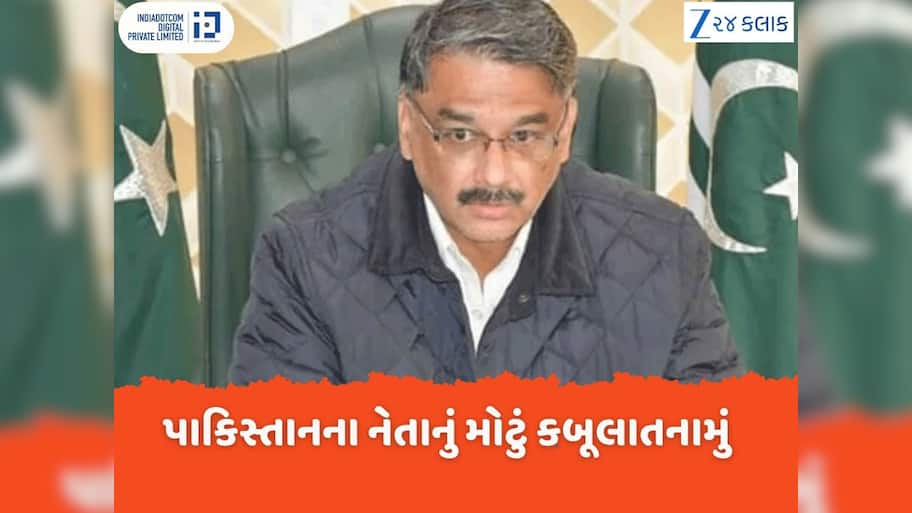 Delhi Blast: પાકિસ્તાની નેતાની કબૂલાત, 'અમે લાલ કિલ્લાથી લઈને કાશ્મીરના જંગલો સુધી કર્યા હુમલા...'