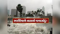 થઈ જાઓ તૈયાર ! આવી રહ્યું છે વધુ એક વાવાઝોડું... બંગાળની ખાડીમાં સર્જાયું લો પ્રેશર