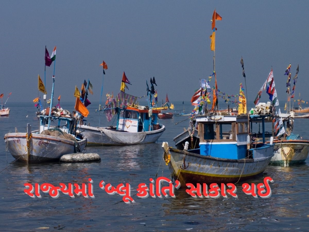 રાજ્યનો દરિયાકાંઠો બન્યો રાજ્યની આર્થિક સમૃદ્ધિનો પ્રવેશદ્વાર, માછલી ઉત્પાદનમાં ગુજરાત બીજા ક્રમે રાજ્યનો દરિયાકાંઠો બન્યો રાજ્યની આર્થિક સમૃદ્ધિનો પ્રવેશદ્વાર, માછલી ઉત્પાદનમાં ગુજરાત બીજા ક્રમે
