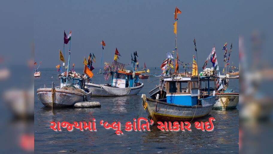 રાજ્યનો દરિયાકાંઠો બન્યો રાજ્યની આર્થિક સમૃદ્ધિનો પ્રવેશદ્વાર, માછલી ઉત્પાદનમાં ગુજરાત બીજા ક્રમે