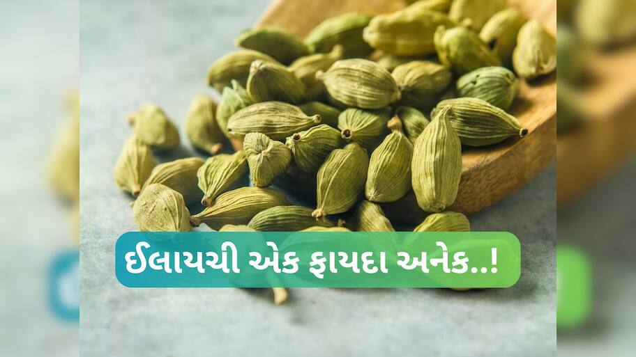 દરરોજ 2 ઈલાયચી ચાવવાથી સ્વાસ્થ્યને મળશે આ જબરદસ્ત ફાયદા, અનેક સમસ્યાઓથી મળશે છૂટકારો!
