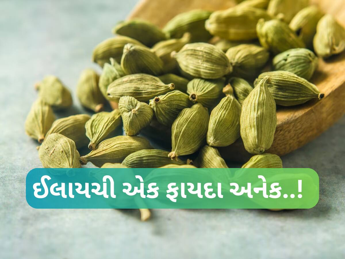દરરોજ 2 ઈલાયચી ચાવવાથી સ્વાસ્થ્યને મળશે આ જબરદસ્ત ફાયદા, અનેક સમસ્યાઓથી મળશે છૂટકારો! દરરોજ 2 ઈલાયચી ચાવવાથી સ્વાસ્થ્યને મળશે આ જબરદસ્ત ફાયદા, અનેક સમસ્યાઓથી મળશે છૂટકારો!