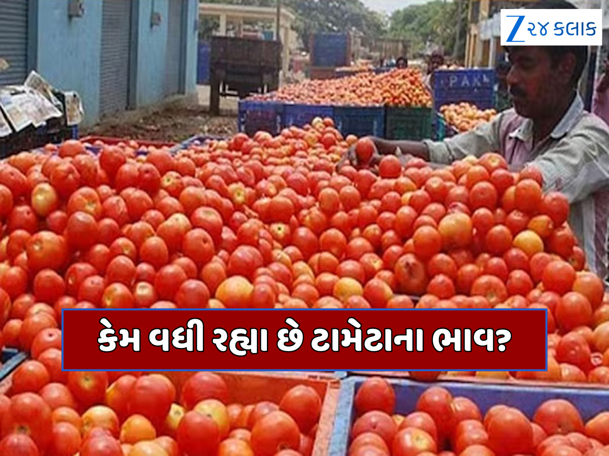 ના વરસાદ, ના ગરમી... તો પછી હવે કેમ વધી રહ્યા છે ટામેટાનો ભાવ? 15 દિવસમાં 50%થી વધુ વધ્યા ભાવ ના વરસાદ, ના ગરમી... તો પછી હવે કેમ વધી રહ્યા છે ટામેટાનો ભાવ? 15 દિવસમાં 50%થી વધુ વધ્યા ભાવ