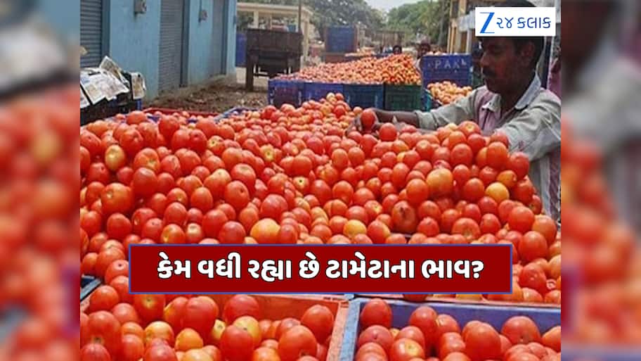 ના વરસાદ, ના ગરમી... તો પછી હવે કેમ વધી રહ્યા છે ટામેટાનો ભાવ? 15 દિવસમાં 50%થી વધુ વધ્યા ભાવ 