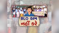 શિક્ષકનો જીવ ગયા બાદ રાજ્યભરના BLO માં આક્રોશ, આજે નહિ કરે SIRની કામગીરી