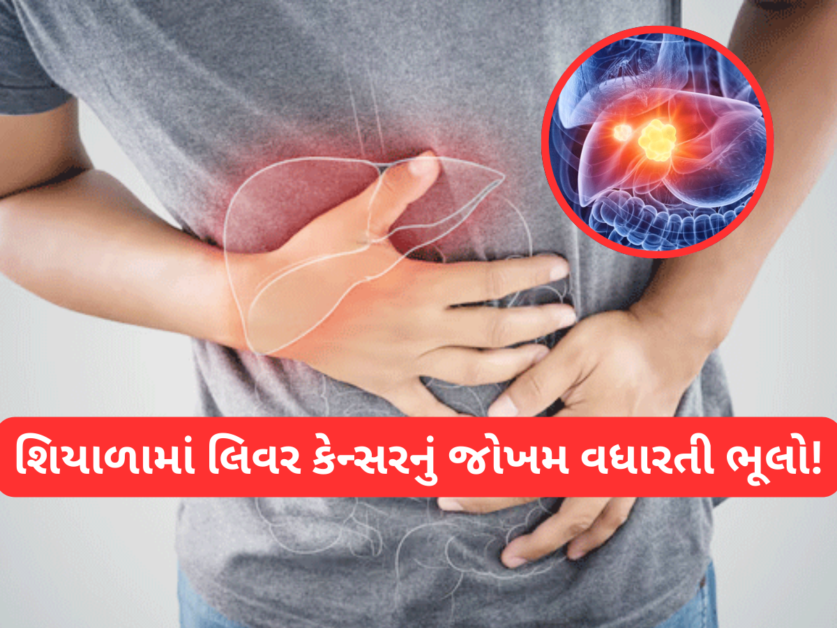 શિયાળામાં ભૂલેચૂકે ન કરતા આ 5 ભૂલ, લિવર કેન્સર થવાનું રહે છે જોખમ, કેટલાક તો રોજ કરે છે શિયાળામાં ભૂલેચૂકે ન કરતા આ 5 ભૂલ, લિવર કેન્સર થવાનું રહે છે જોખમ, કેટલાક તો રોજ કરે છે