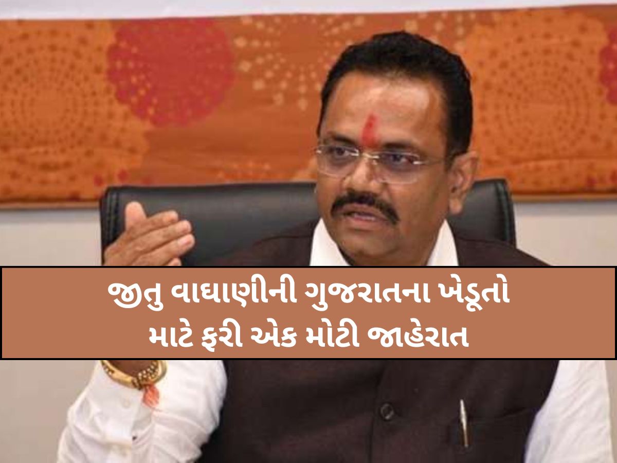 ગુજરાતના ખેડૂતો માટે મહત્વના સમાચાર, કૃષિમંત્રી જીતુ વાઘાણીની ફરી એક મોટી જાહેરાત ગુજરાતના ખેડૂતો માટે મહત્વના સમાચાર, કૃષિમંત્રી જીતુ વાઘાણીની ફરી એક મોટી જાહેરાત