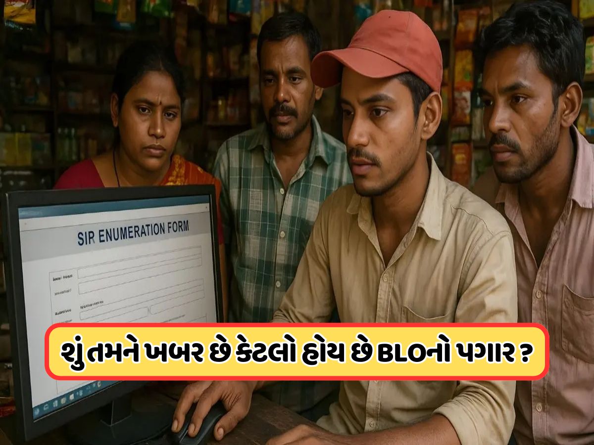 BLOનો પગાર કેટલો હોય છે? મતદાર યાદી અપડેટ કરવા સિવાય તેઓ બીજું શું કામ કરે છે, જાણો BLOનો પગાર કેટલો હોય છે? મતદાર યાદી અપડેટ કરવા સિવાય તેઓ બીજું શું કામ કરે છે, જાણો