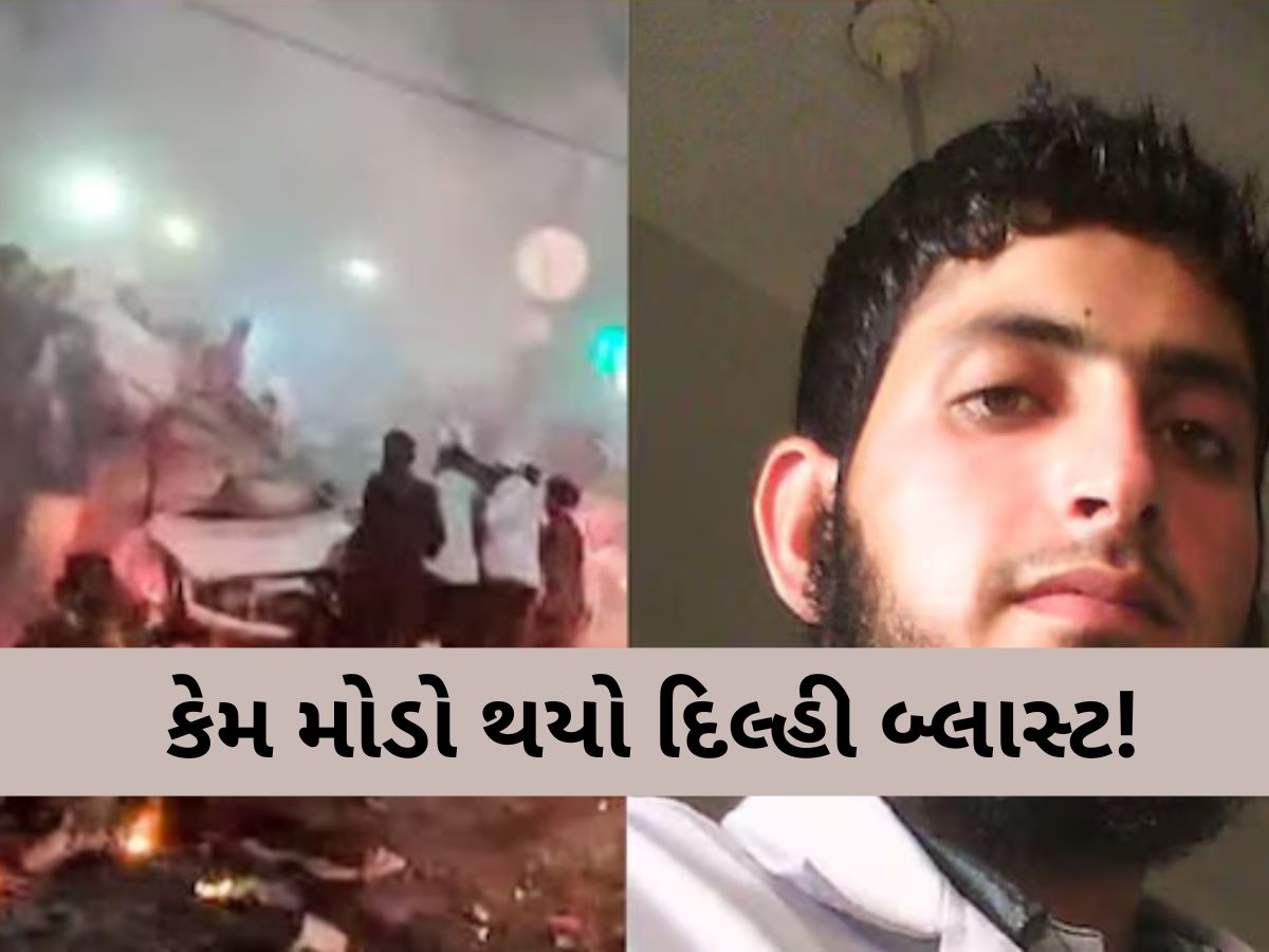 તો પહેલાં જ થઈ ગયો હોત દિલ્હી બ્લાસ્ટ, ઝઘડાના કારણે થયો વિલંબ! આતંકી મુઝમ્મિલ જણાવી હકીકત તો પહેલાં જ થઈ ગયો હોત દિલ્હી બ્લાસ્ટ, ઝઘડાના કારણે થયો વિલંબ! આતંકી મુઝમ્મિલ જણાવી હકીકત